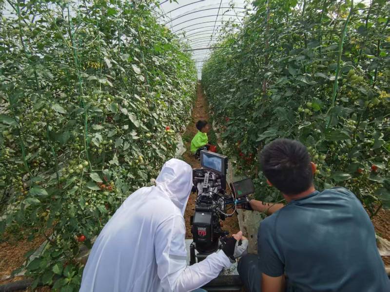 茅箭区产品宣传视频拍摄公司进阶指南，助力品牌抢占传播高地